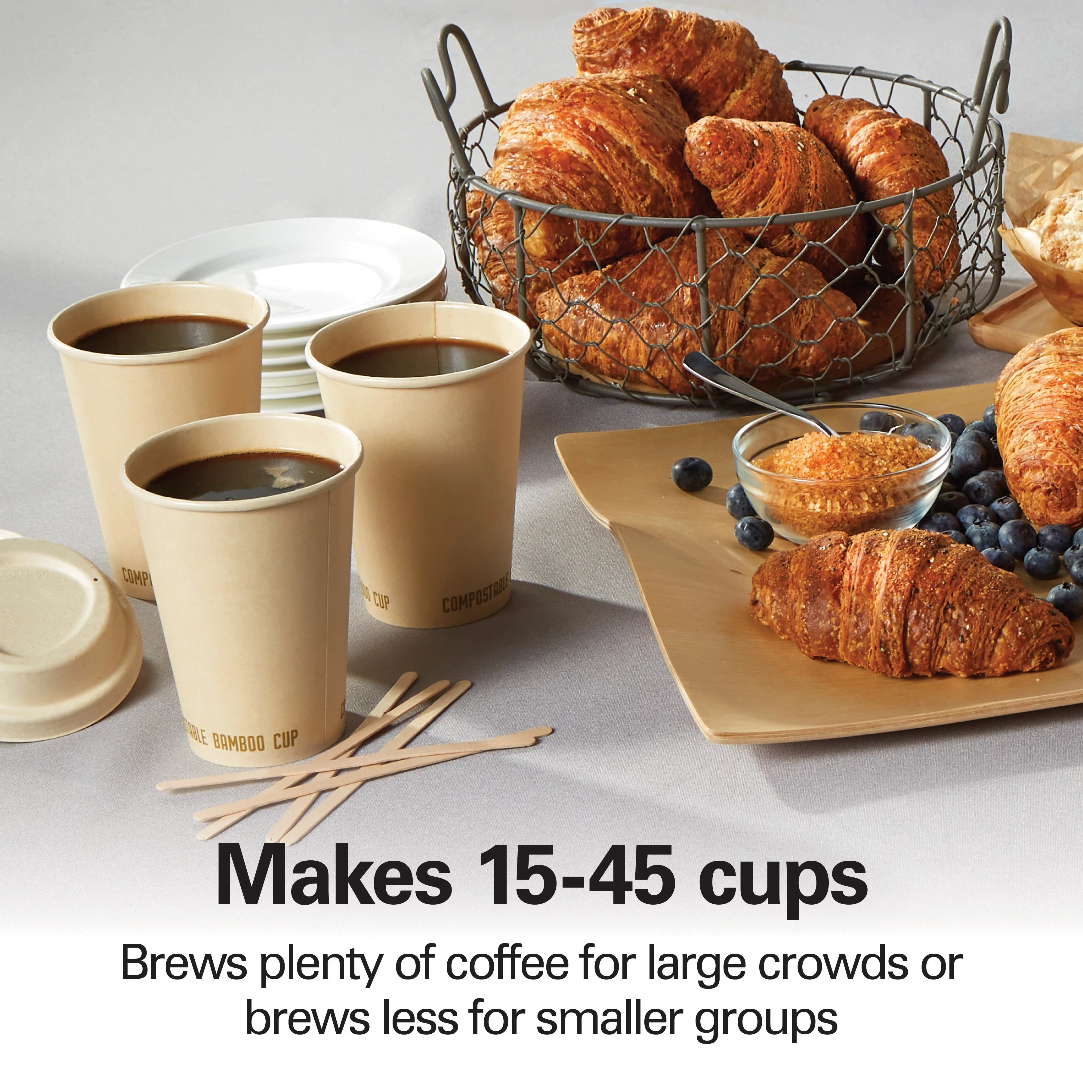 45 Cup Coffee Urn P151
