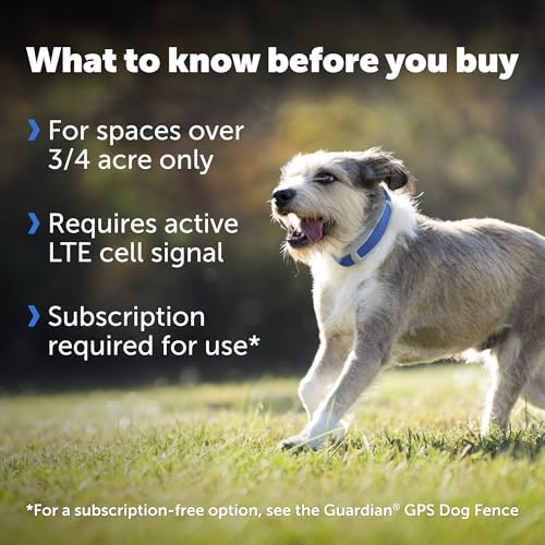 GPS Dog Collar with App, Waterproof Rechargeable (Blue, Grey) Y2567