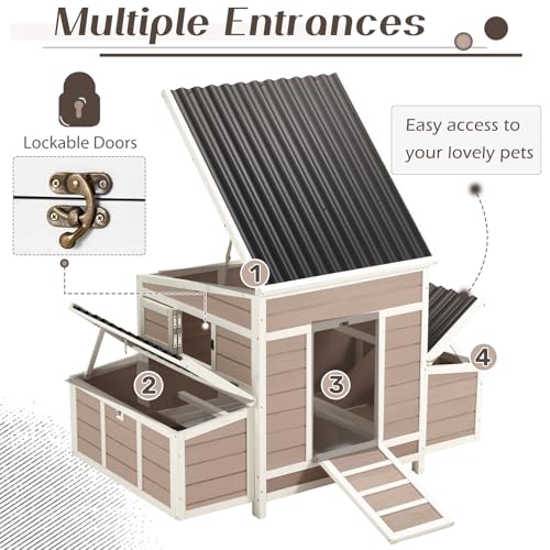56" Large Wooden Chicken Coop with 6 Nesting Boxes R26789
