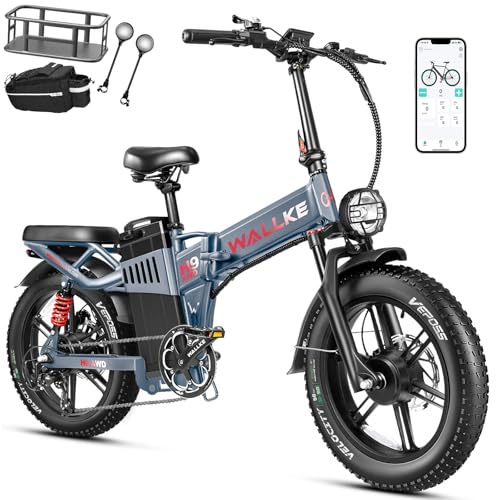 20" Fat Tire Folding Full Suspension Electric Bike P276