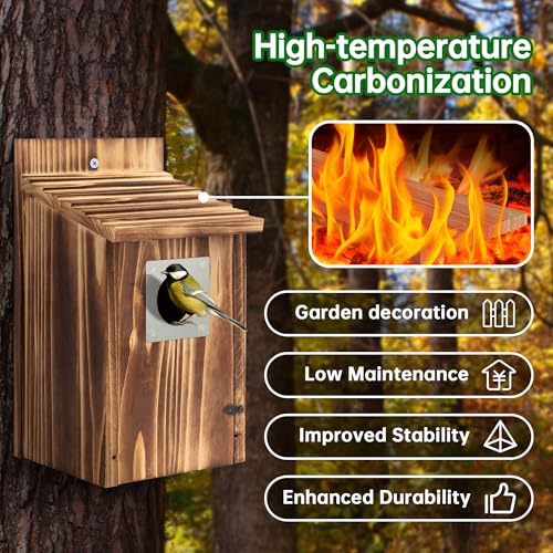 2 Pack Carbonized Wooden Bird Houses with Metal Predator Guard Y783