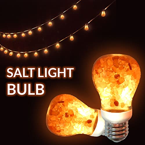 4 Count Warm Amber LED Light Bulb P6392