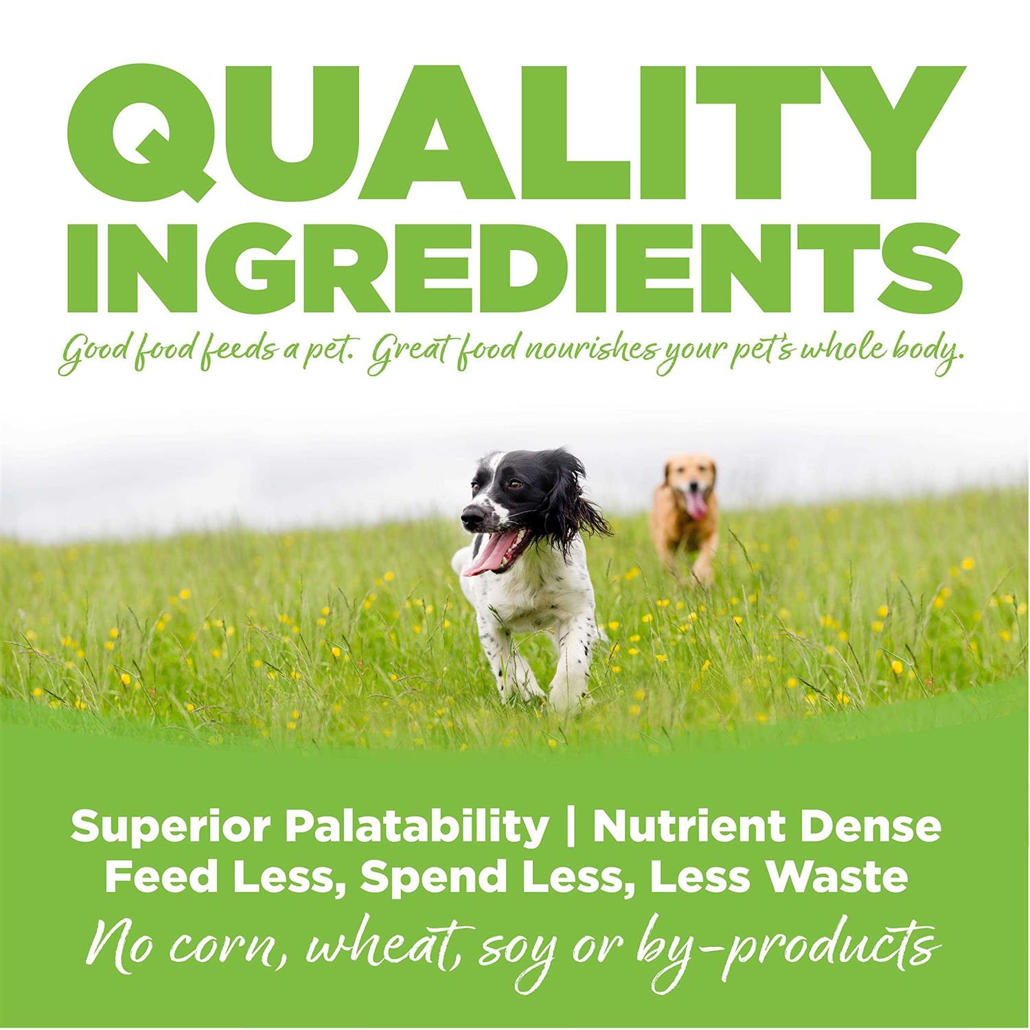 Chicken Weight Management Dry Dog Food A185228