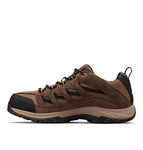 Men's Hiking Shoe R348851