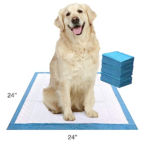 Super Absorbent Unscented Quilted Pee Pads, 24" x 24" (22 Count) D19159