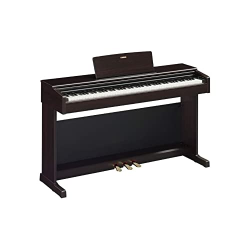 88-Key Weighted Action Digital Piano, Dark Rosewood L319