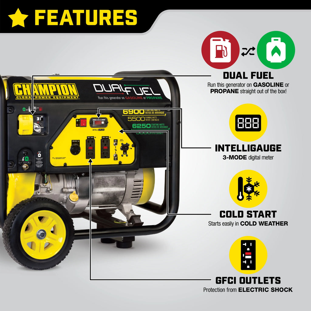 Dual Fuel Portable Generator with Wheel Kit F1725