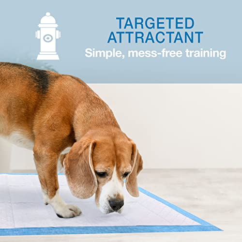 Super Absorbent Unscented Quilted Pee Pads, 24" x 24" (22 Count) D19159