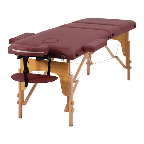 24 inch Wide Folding Height Adjustable Massage Table with Non-Woven Bag S16133