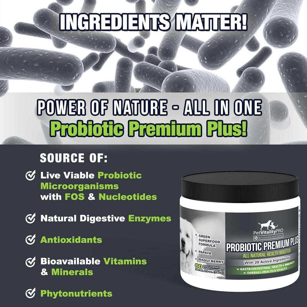 Probiotics for Dogs with Natural Digestive Enzymes, 4 Bill CFUs/2 Soft Chews, 60 Count X96885
