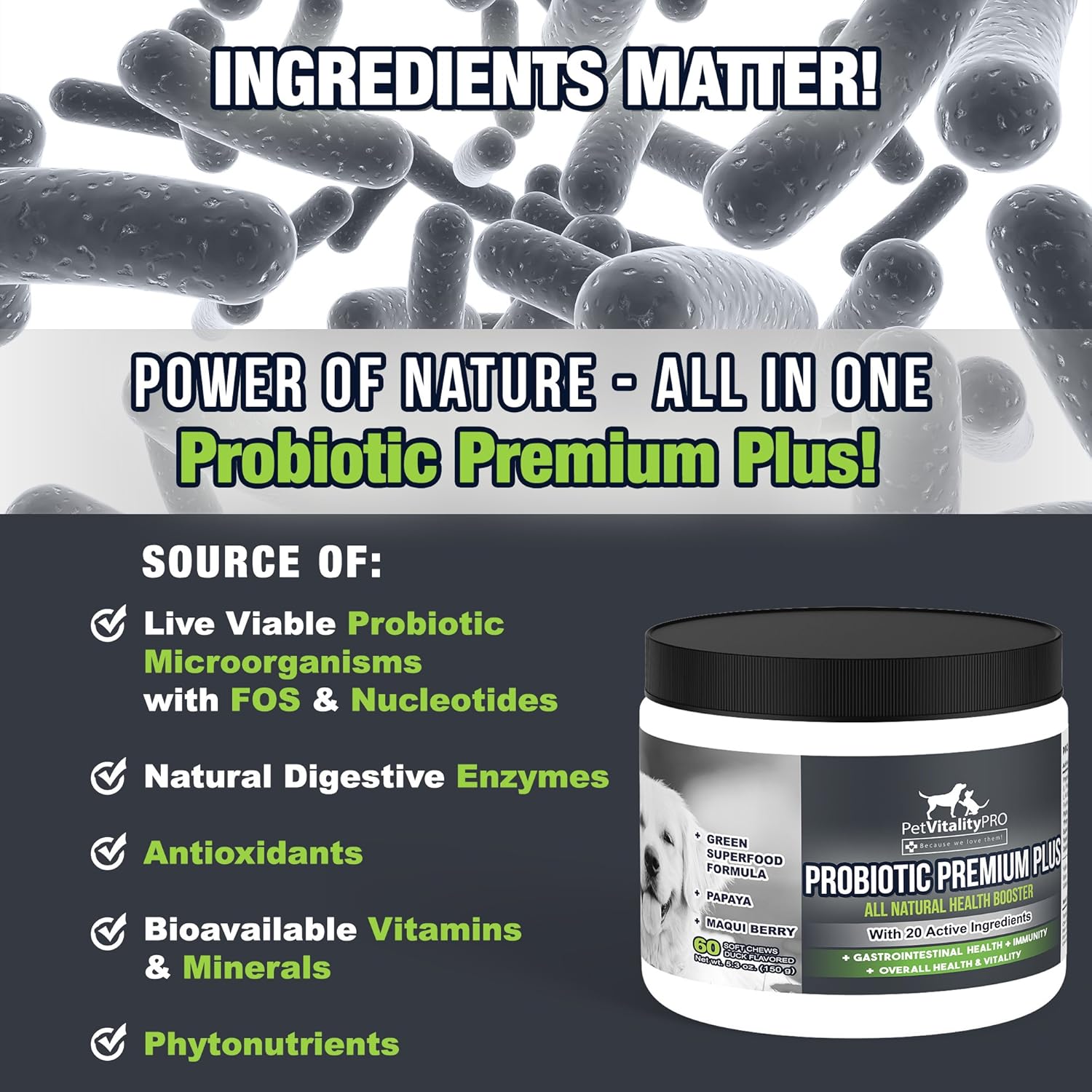 Probiotics for Dogs with Natural Digestive Enzymes, 4 Bill CFUs/2 Soft Chews, 60 Count X96885