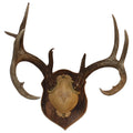 Solid Old Barnwood Deer Antler Mounting Plaque 10" x 7.5" Z379