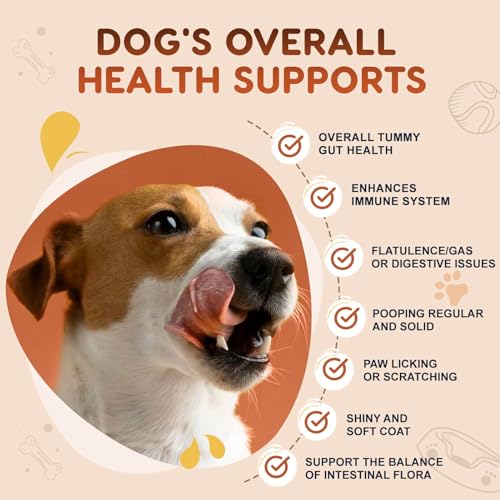120 Soft Chews Probiotics for Dogs X311544