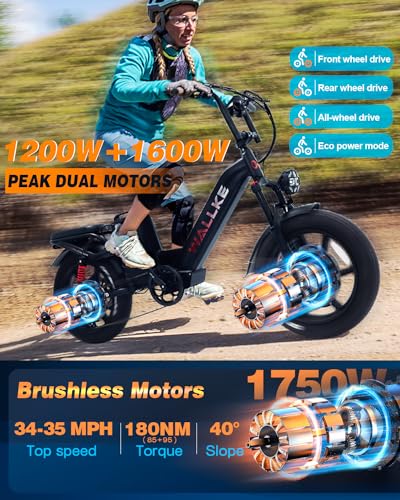 20 Inch Fat Tire Full Suspension Electric Bike C676545