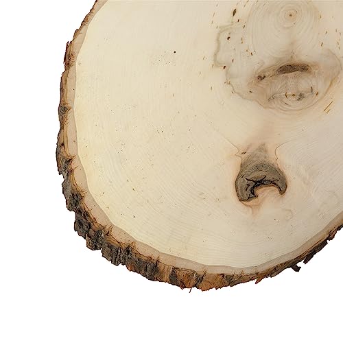 Extra Large 12-14" Wide Live Edge Wood Round (Pack of 6) Y837175