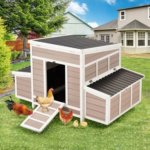 56" Large Wooden Chicken Coop with 6 Nesting Boxes R26789