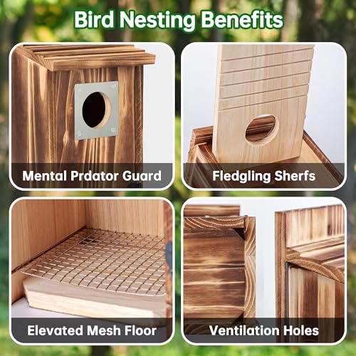 2 Pack Carbonized Wooden Bird Houses with Metal Predator Guard Y783