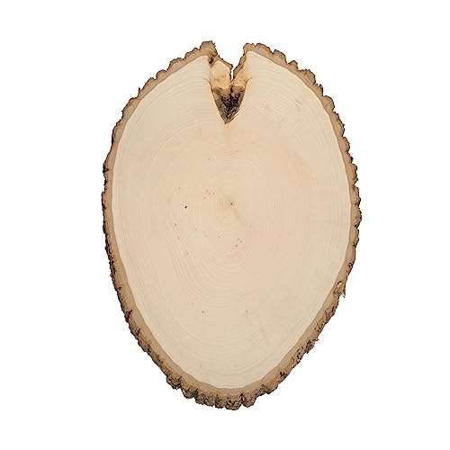 Extra Large 12-14" Wide Live Edge Wood Round (Pack of 6) Y837175