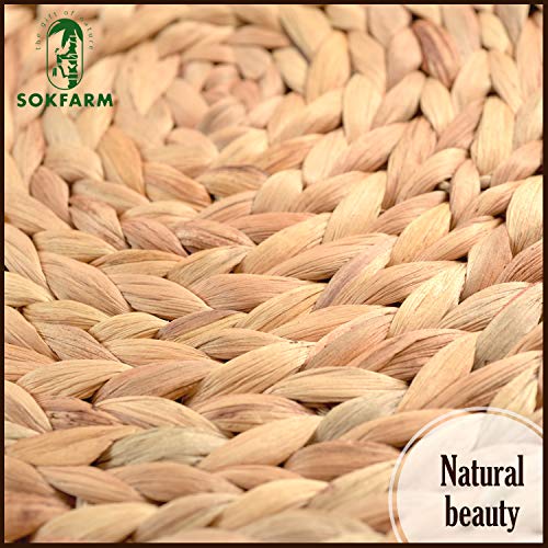 Set of 10 Round Water Hyacinth Wicker Placemats N51230