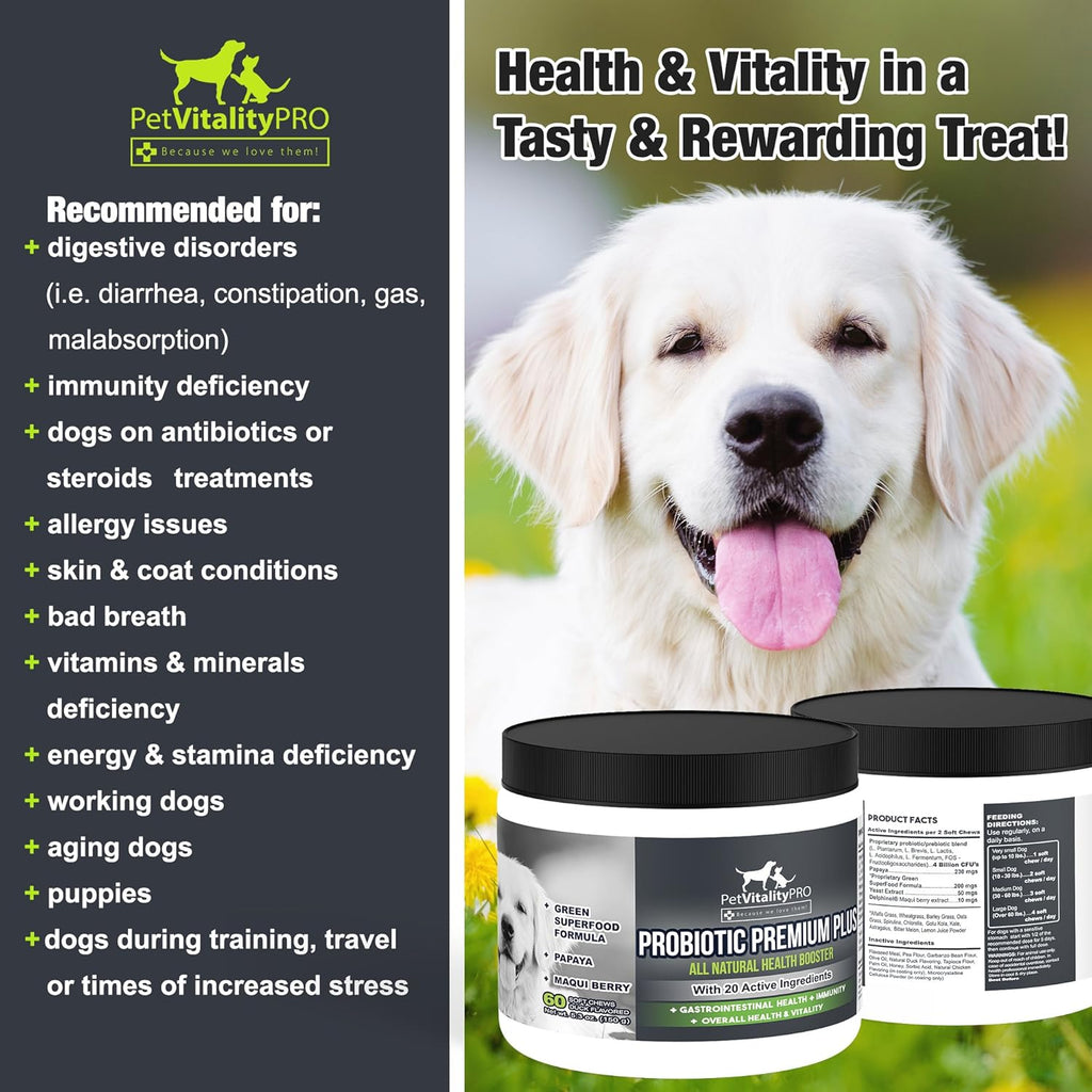 Probiotics for Dogs with Natural Digestive Enzymes, 4 Bill CFUs/2 Soft Chews, 60 Count X96885