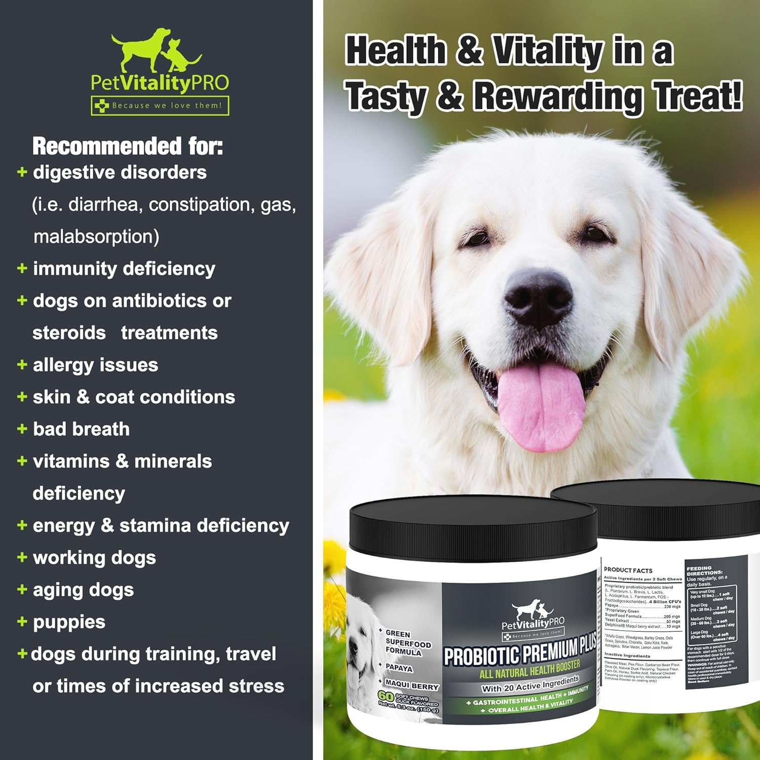 Probiotics for Dogs with Natural Digestive Enzymes, 4 Bill CFUs/2 Soft Chews, 60 Count X96885