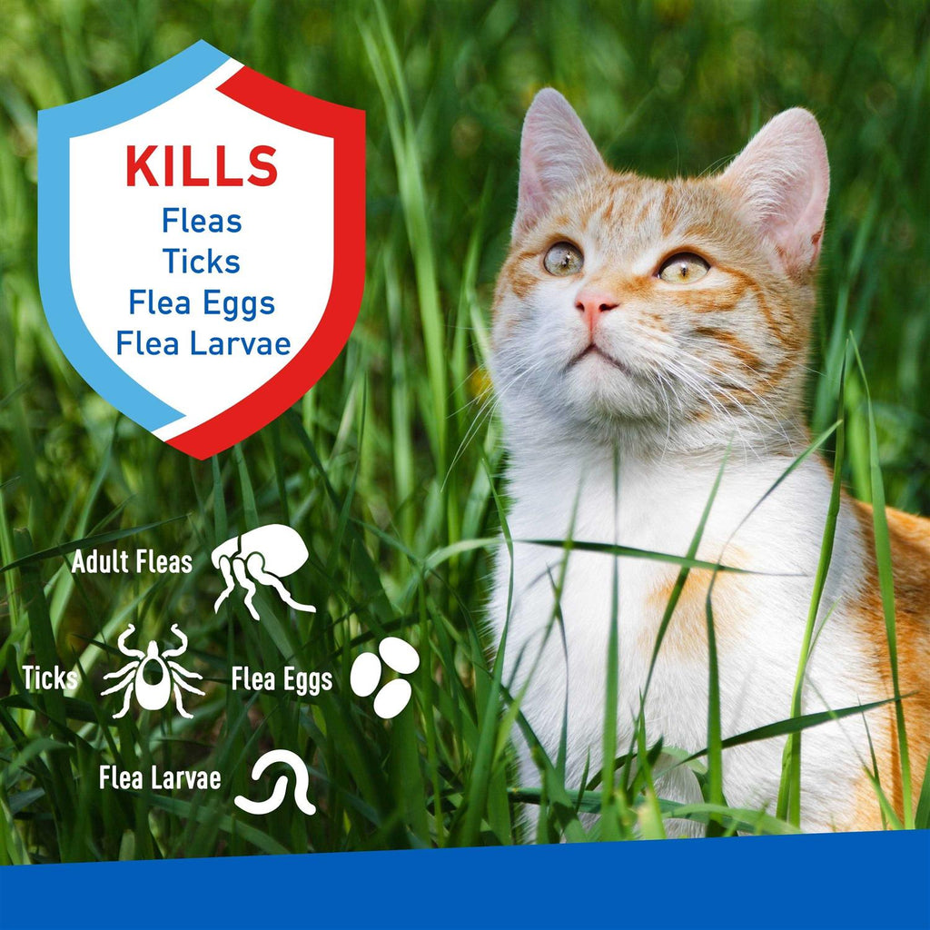 Flea and Tick Spray for Cats P30054