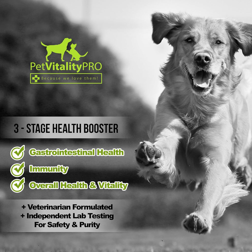 Probiotics for Dogs with Natural Digestive Enzymes, 4 Bill CFUs/2 Soft Chews, 60 Count X96885