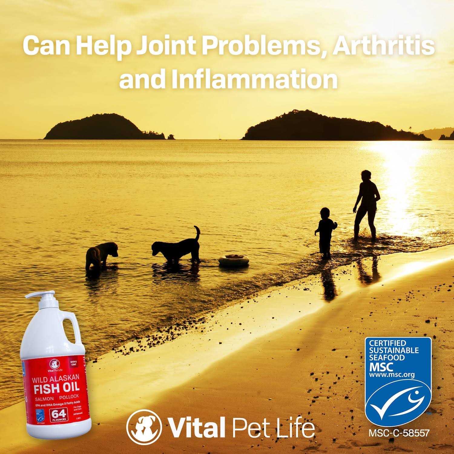 Fish Oil for Dogs P725