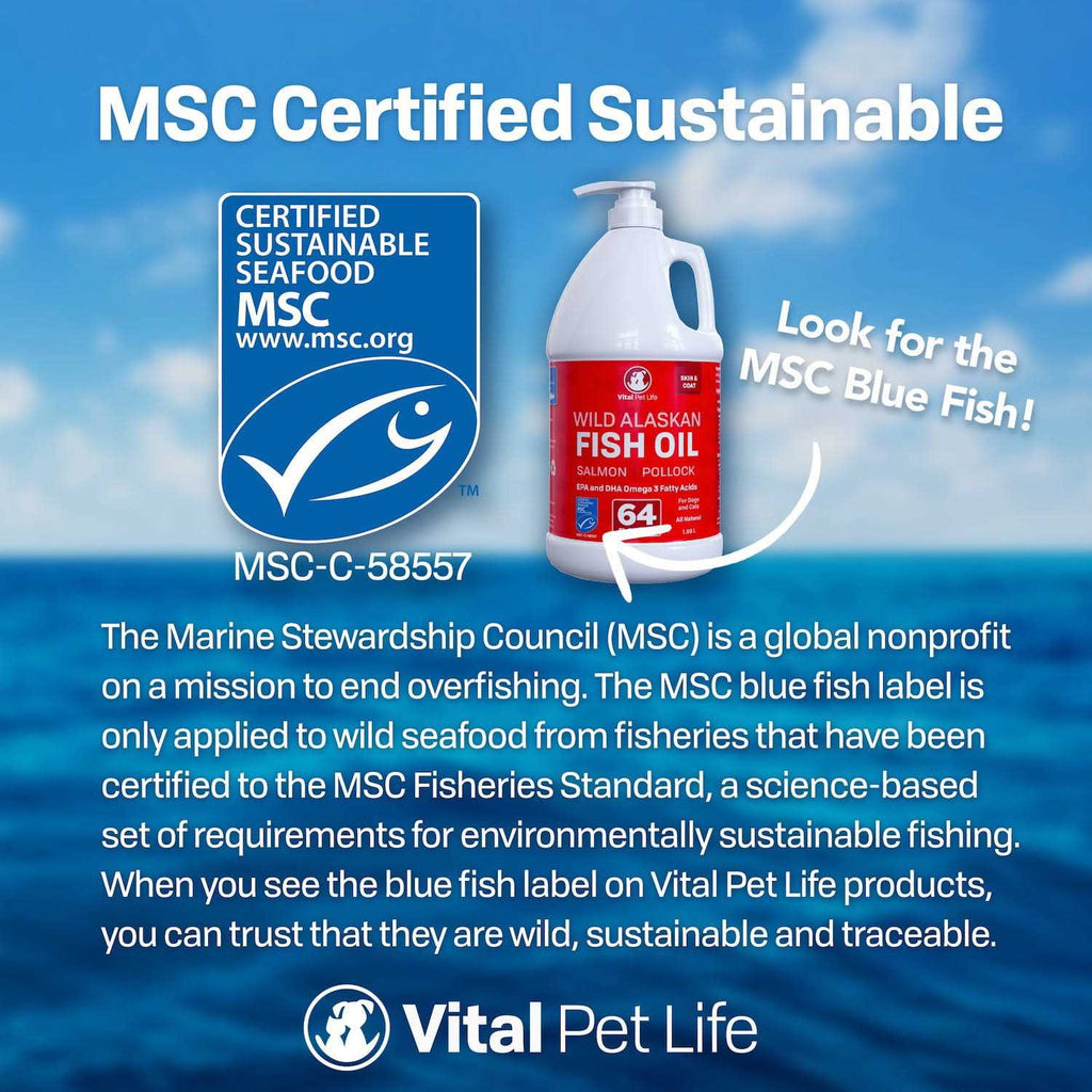 Fish Oil for Dogs P725