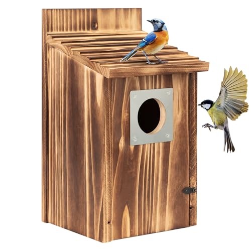 2 Pack Carbonized Wooden Bird Houses with Metal Predator Guard Y783