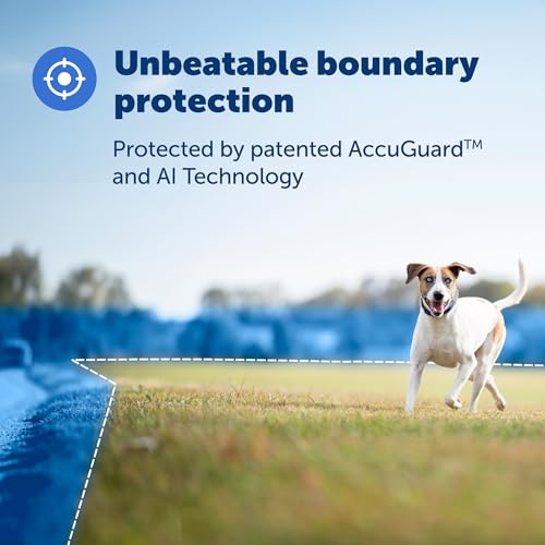 GPS Dog Collar with App, Waterproof Rechargeable (Blue, Grey) Y2567