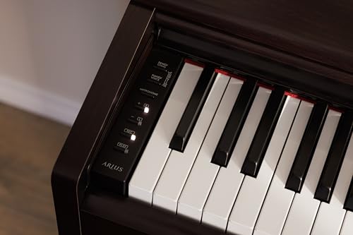 88-Key Weighted Action Digital Piano, Dark Rosewood L319