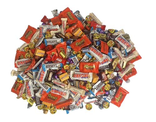 3 Lb Bulk Individually Wrapped Assorted Chocolate Candy Variety Pack E21345