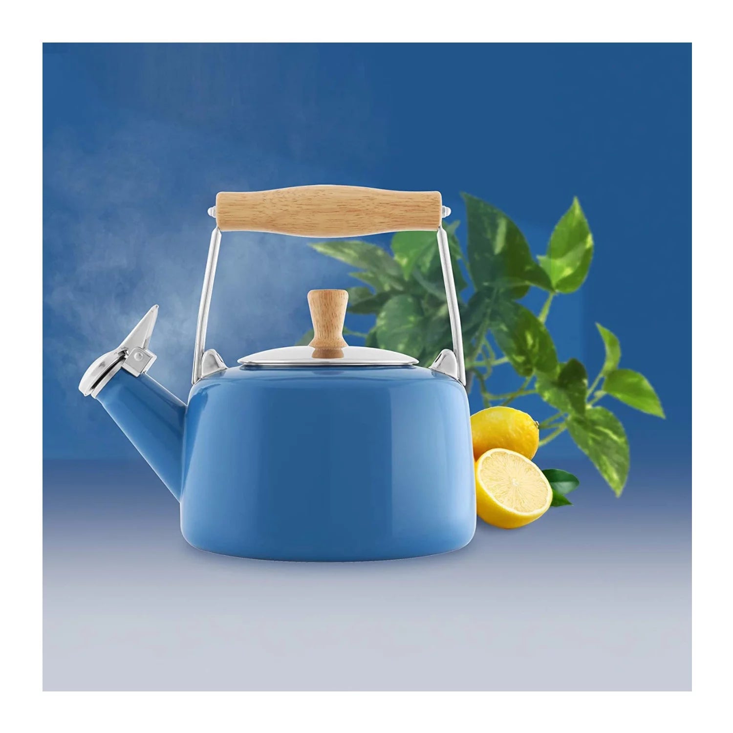 1.4-Quart Enamel-on-Steel Tea Kettle W612