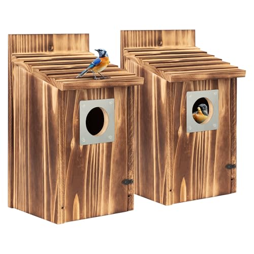 2 Pack Carbonized Wooden Bird Houses with Metal Predator Guard Y783
