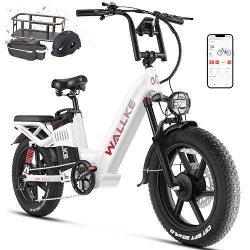 20 Inch Fat Tire Full Suspension Electric Bike C676545
