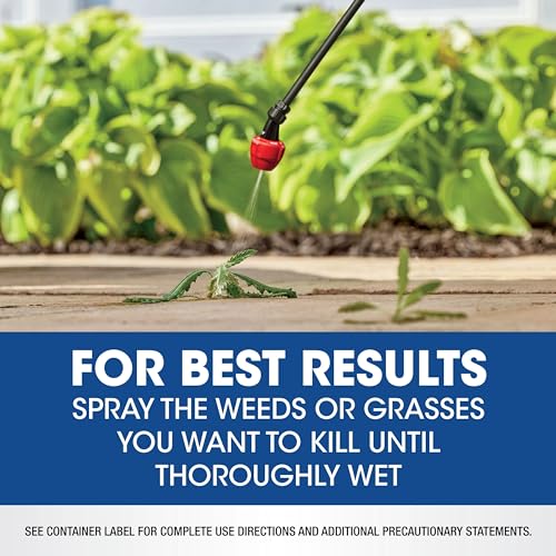 0.5 gal. Weed & Grass Killer C897090
