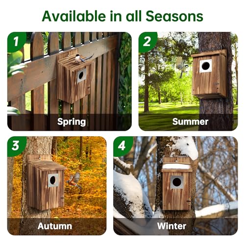 2 Pack Carbonized Wooden Bird Houses with Metal Predator Guard Y783