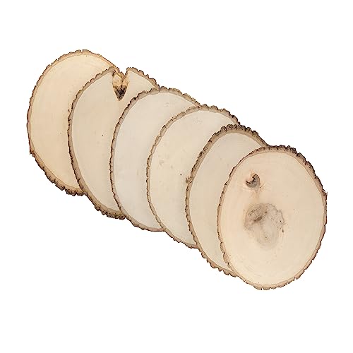 Extra Large 12-14" Wide Live Edge Wood Round (Pack of 6) Y837175