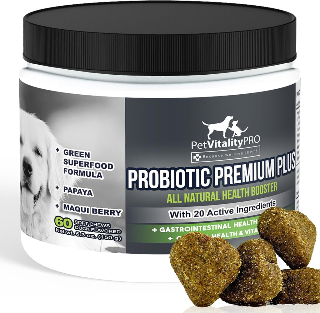Probiotics for Dogs with Natural Digestive Enzymes, 4 Bill CFUs/2 Soft Chews, 60 Count X96885