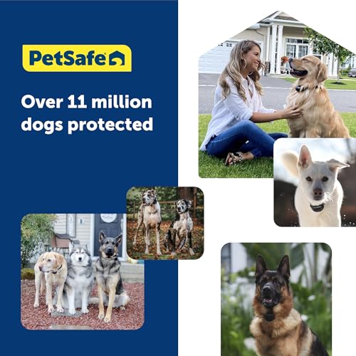 GPS Dog Collar with App, Waterproof Rechargeable (Blue, Grey) Y2567