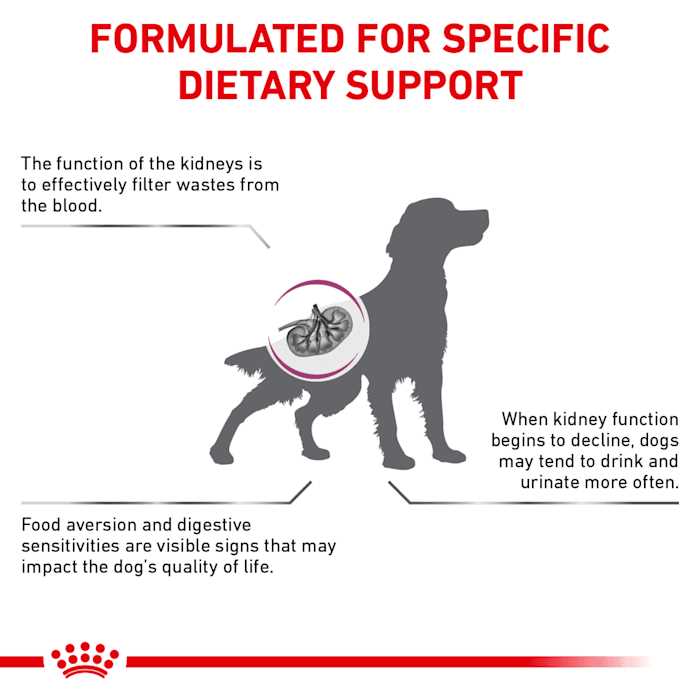Veterinary Diet Renal Support Dry Dog Food A4888