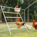 Chicken Coop Run with Anti-Rust Durable Steel, Large Walk-in Poultry Cage with Cover R58328