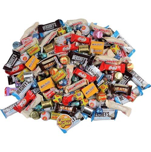 3 Lb Bulk Individually Wrapped Assorted Chocolate Candy Variety Pack E21345