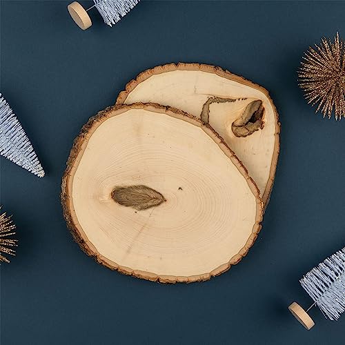Extra Large 12-14" Wide Live Edge Wood Round (Pack of 6) Y837175