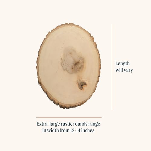 Extra Large 12-14" Wide Live Edge Wood Round (Pack of 6) Y837175