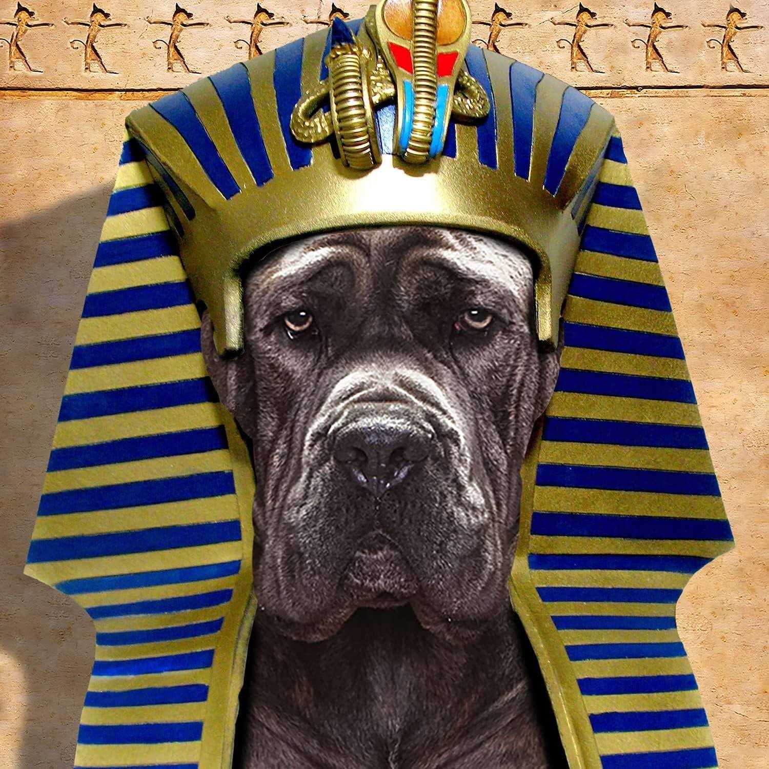 Fromm Adult Ancient Gold Dog Dry Food Z58763