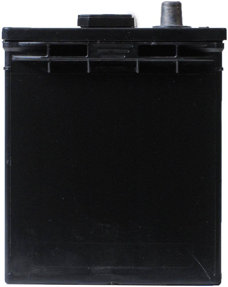 Group Size 26R Battery B118