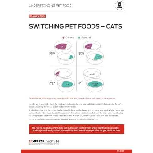Rice Dry Cat Food U53828