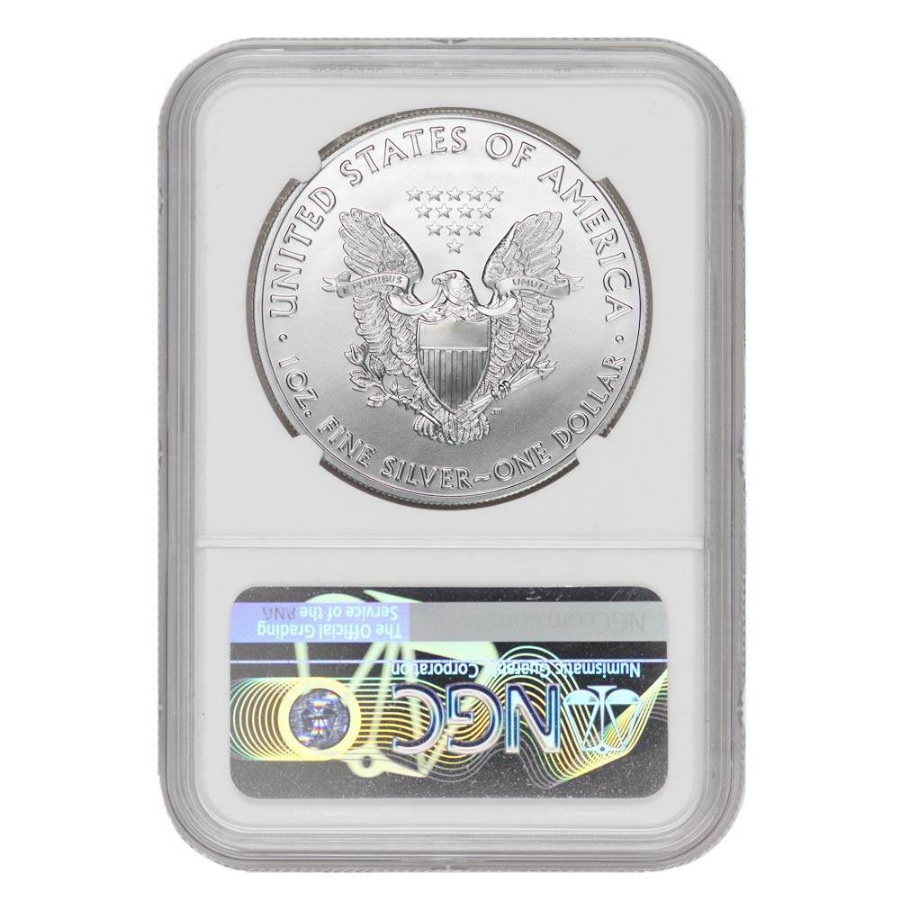 1 oz American Silver Eagle Coin MS-70 P288